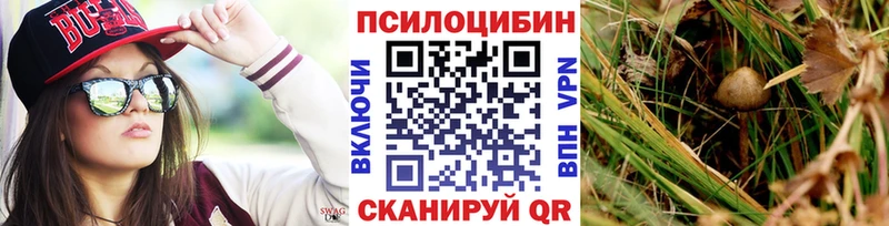 где продают   Чердынь  blacksprut зеркало  Галлюциногенные грибы прущие грибы 